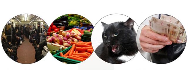 Métodos de infección por parásitos.