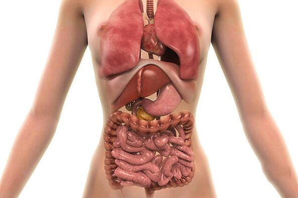 Parásitos en el cuerpo humano.