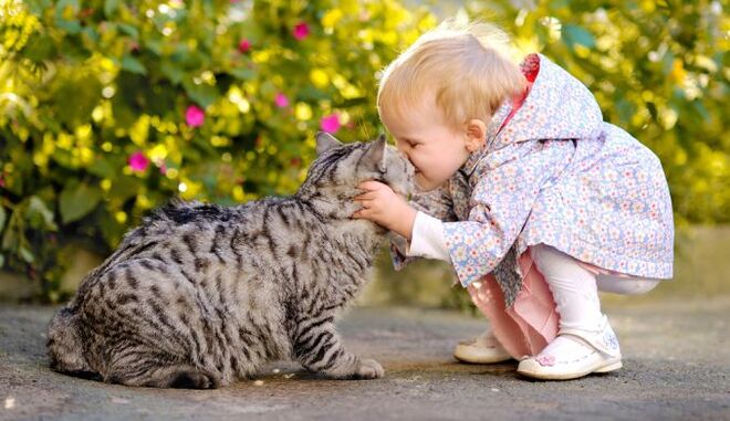Un niño besa a un gato y se infecta de gusanos